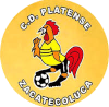 https://img.jsmgx.com/img/football/team/63b0933cc303927659846a4ed54b1522.png